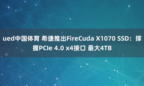 ued中国体育 希捷推出FireCuda X1070 SSD：撑握PCIe 4.0 x4接口 最大4TB