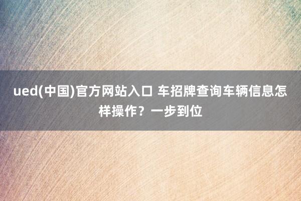 ued(中国)官方网站入口 车招牌查询车辆信息怎样操作？一步到位
