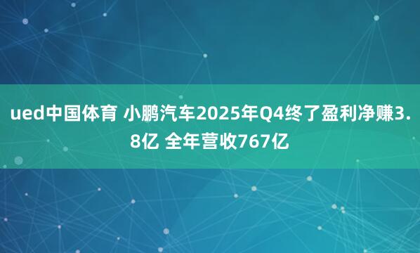 ued中国体育 小鹏汽车2025年Q4终了盈利净赚3.8亿 全年营收767亿