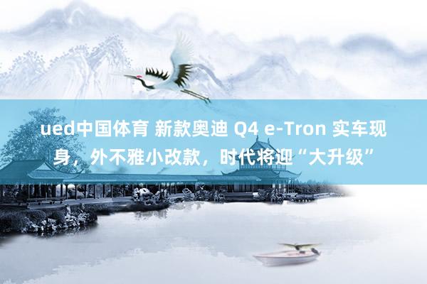 ued中国体育 新款奥迪 Q4 e-Tron 实车现身，外不雅小改款，时代将迎“大升级”