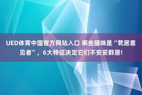 UED体育中国官方网站入口 哪些猫咪是“茕居意见者”，6大特征决定它们不安妥群居!