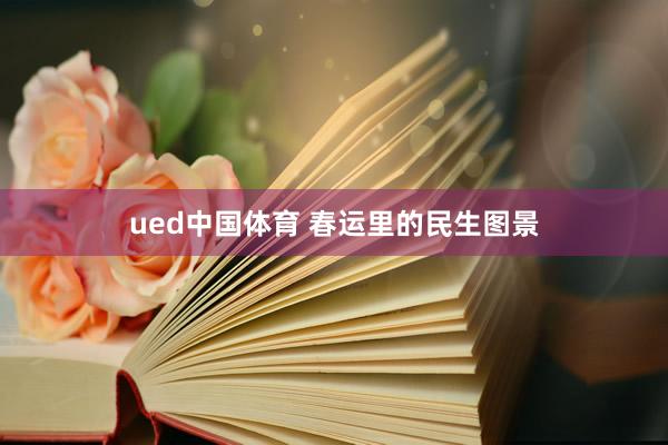 ued中国体育 春运里的民生图景