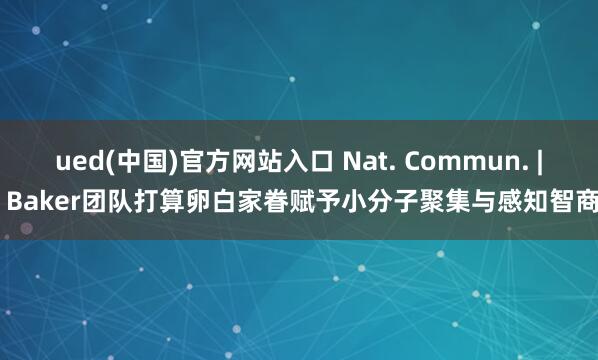 ued(中国)官方网站入口 Nat. Commun. | Baker团队打算卵白家眷赋予小分子聚集与感知智商