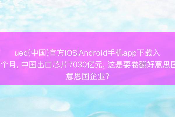 ued(中国)官方IOS|Android手机app下载入口 仅4个月, 中国出口芯片7030亿元, 这是要卷翻好意思国企业?