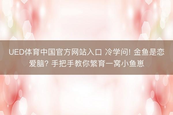 UED体育中国官方网站入口 冷学问! 金鱼是恋爱脑? 手把手教你繁育一窝小鱼崽