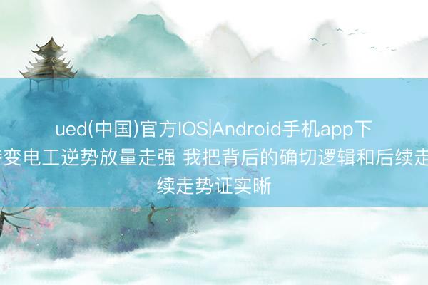 ued(中国)官方IOS|Android手机app下载入口 特变电工逆势放量走强 我把背后的确切逻辑和后续走势证实晰