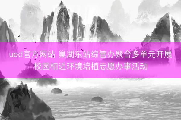 ued官方网站 巢湖东站综管办聚合多单元开展校园相近环境培植志愿办事活动