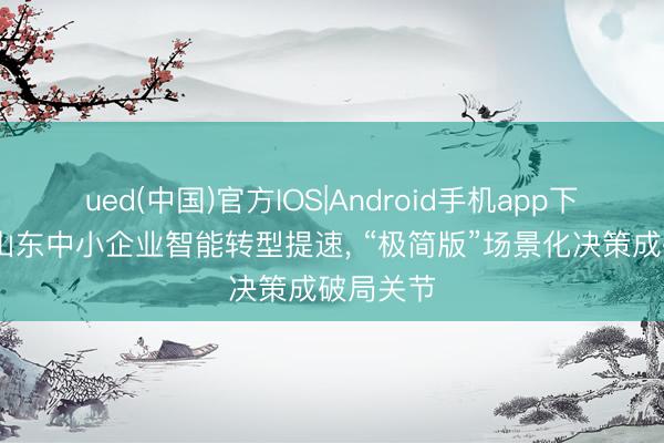 ued(中国)官方IOS|Android手机app下载入口 山东中小企业智能转型提速, “极简版”场景化决策成破局关节