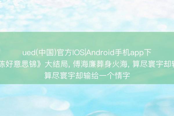 ued(中国)官方IOS|Android手机app下载入口 《良陈好意思锦》大结局, 傅海廉葬身火海, 算尽寰宇却输给一个情字