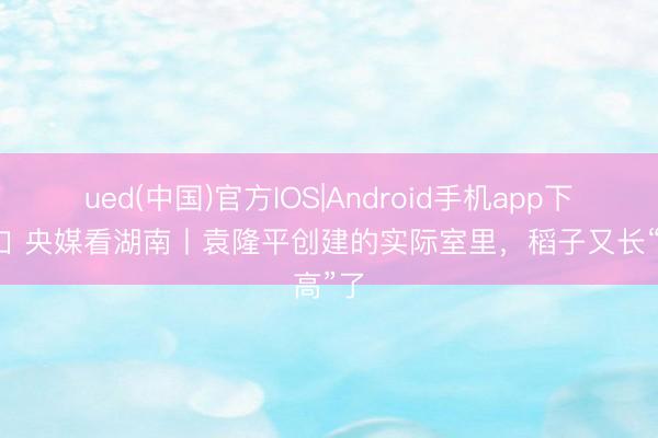 ued(中国)官方IOS|Android手机app下载入口 央媒看湖南丨袁隆平创建的实际室里,稻子又长“高”了