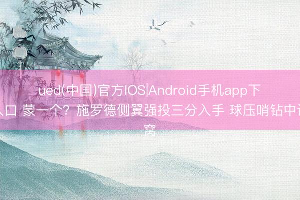 ued(中国)官方IOS|Android手机app下载入口 蒙一个？施罗德侧翼强投三分入手 球压哨钻中计窝