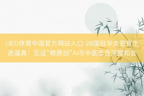 UED体育中国官方网站入口 26国驻华支吾官走进逼真：见证“根原创”AI与中医忠良深度和会