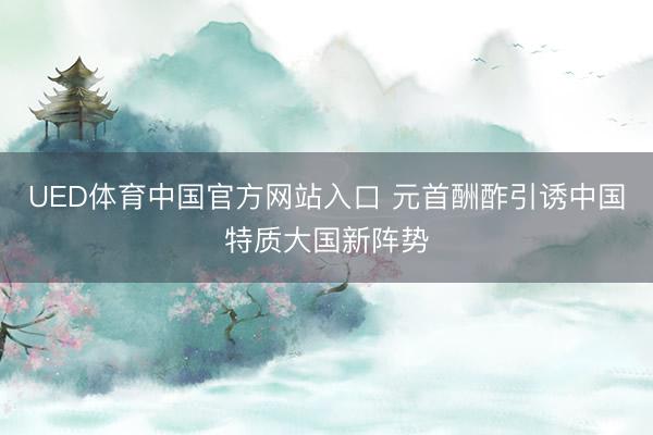 UED体育中国官方网站入口 元首酬酢引诱中国特质大国新阵势