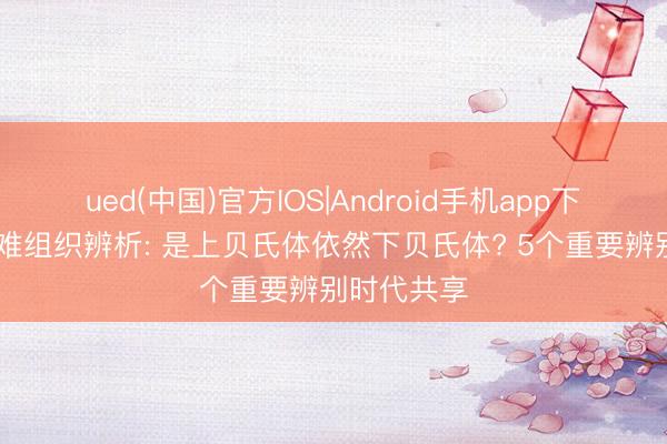 ued(中国)官方IOS|Android手机app下载入口 疑难组织辨析: 是上贝氏体依然下贝氏体? 5个重要辨别时代共享